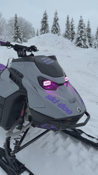 Neutrino Omega G3 - 2 pack for Ski-doo and Lynx!