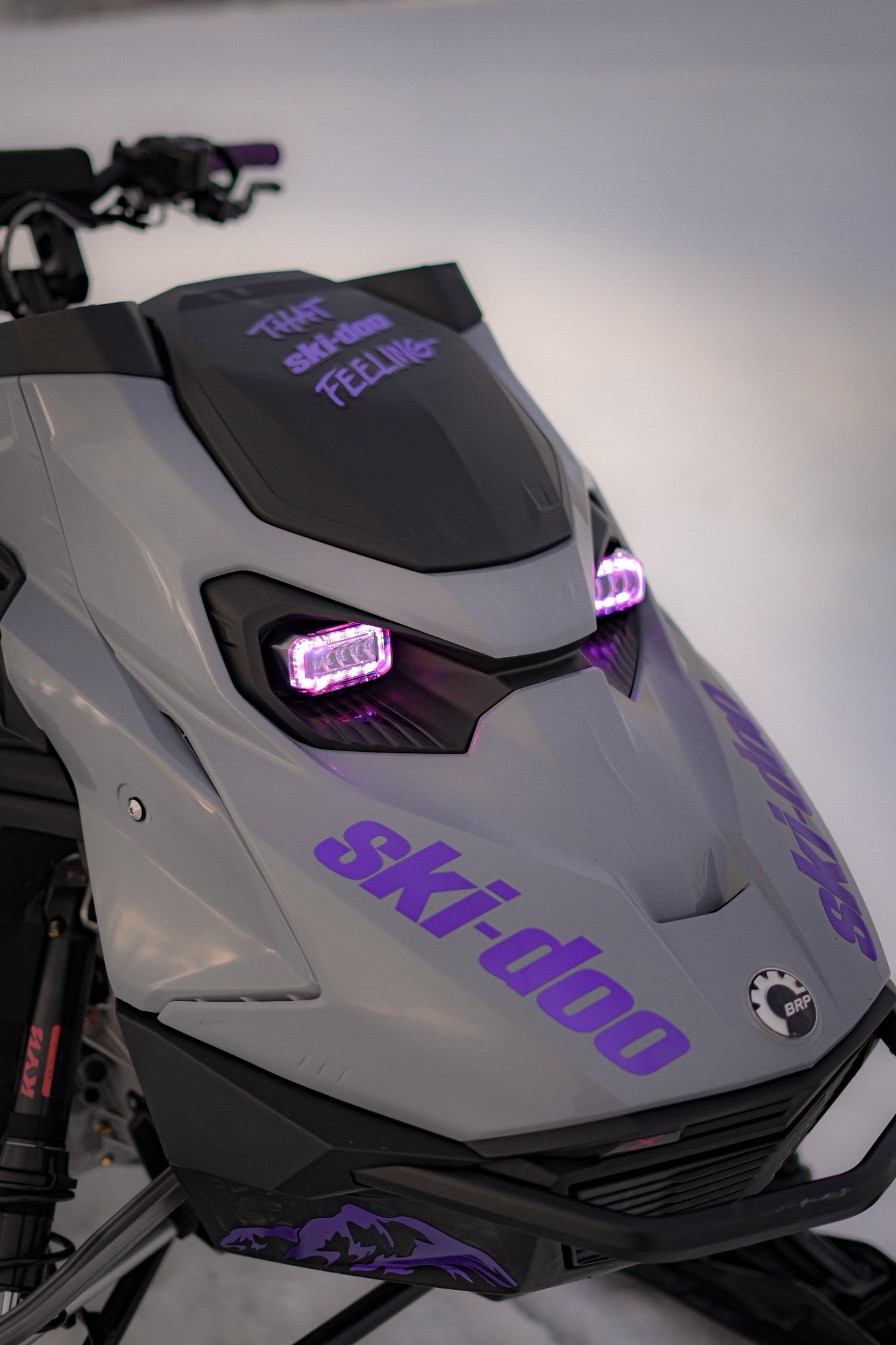 Neutrino Omega G3 - 2 pack for Ski-doo and Lynx!